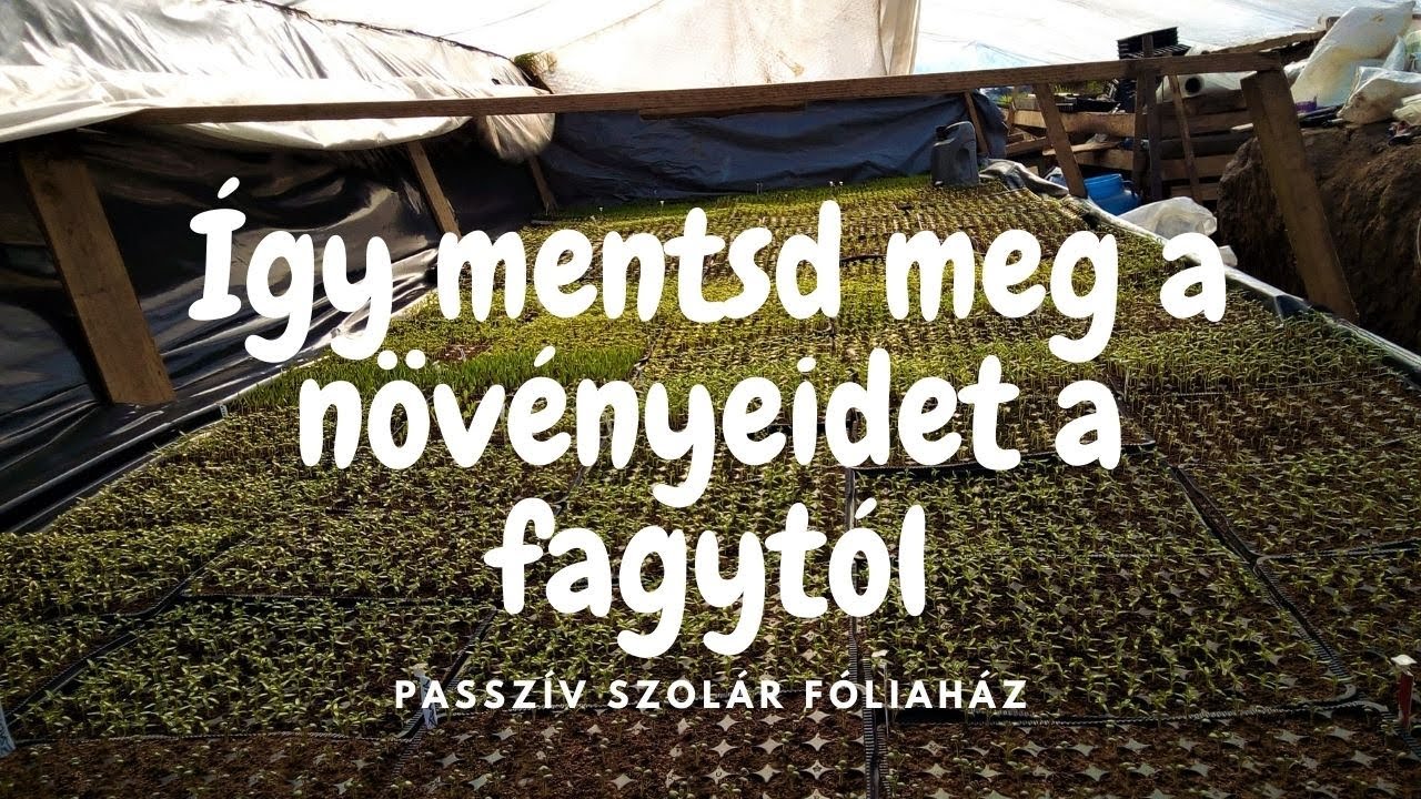 Fóliaház fűtése (Passzív szolár fóliasátor)