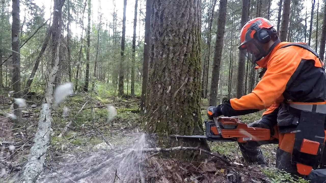 Husqvarna 550xp mkII 8 pin sprocket 20