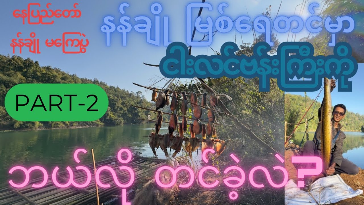 နေပြည်တော် ပေါင်းလောင်း၊နန်ချိုမြစ်ရေတင်မှာ ငါးရွေးနဲ့ ငါးလင်ဗန်းကိုမရ ရအောင် တင်ခဲ့တဲ့ Video Part-2