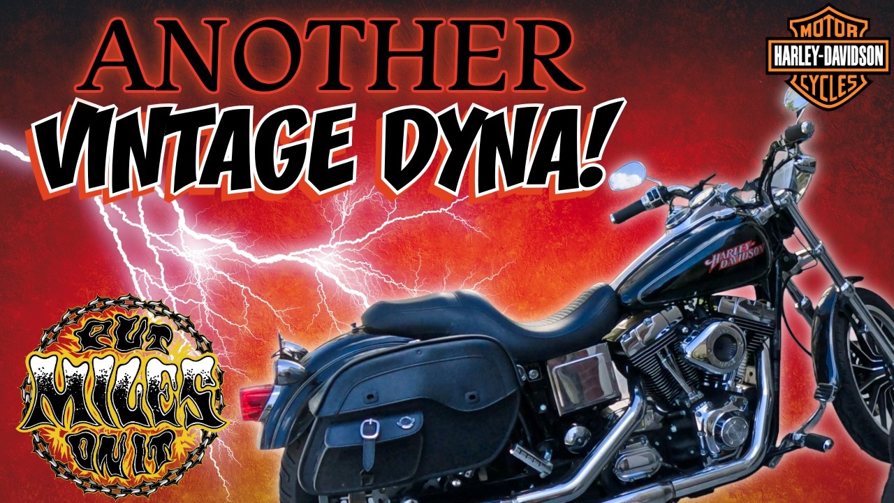Я купил ещё один Dyna Low Rider 2004 года выпуска!