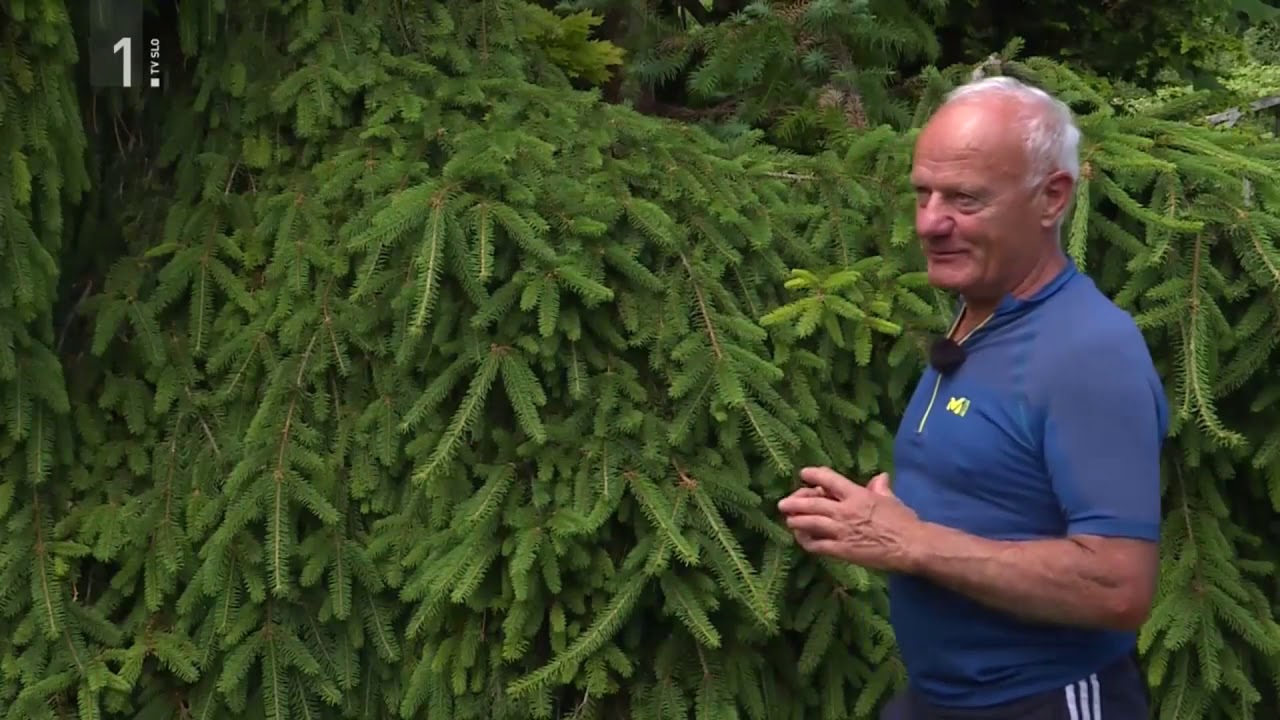 Okrasni vrt Jože Zupanc Šentjur (1. del) - Oddaja Moj vrt