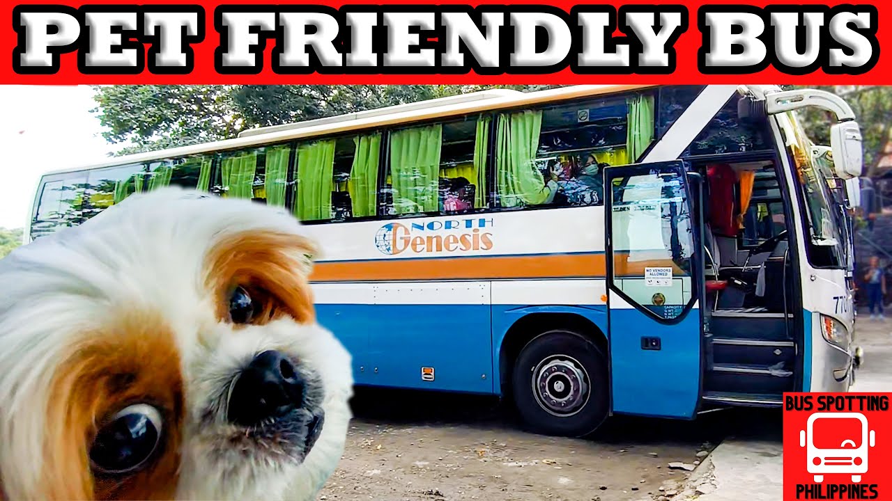 PET FRIENDLY BUS | BAGUIO CITY TO CUBAO | NORTH GENESIS 7701