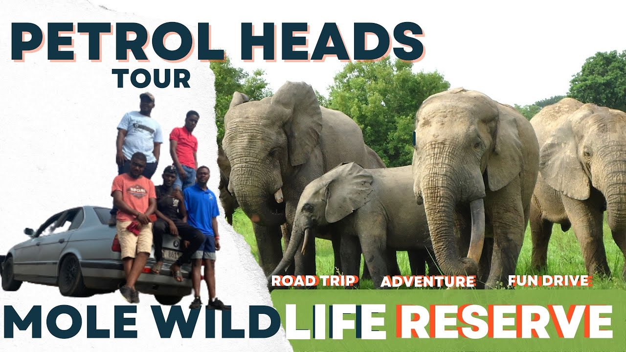Road trip to Mole National Park Ghana's Largest Wildlife Reserve in Ghana | Vlog 015 | Pt 1