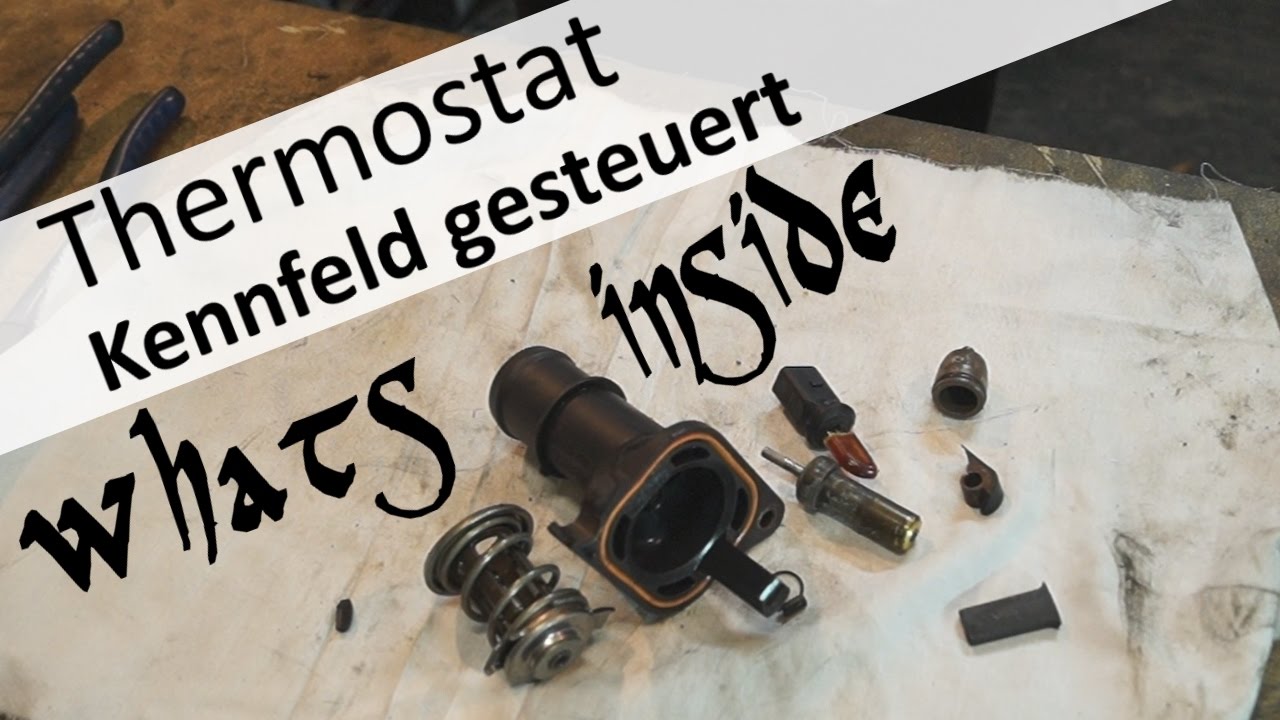 Kennfeldthermostat zerlegen und erklären denn ich frage mich whats inside ?