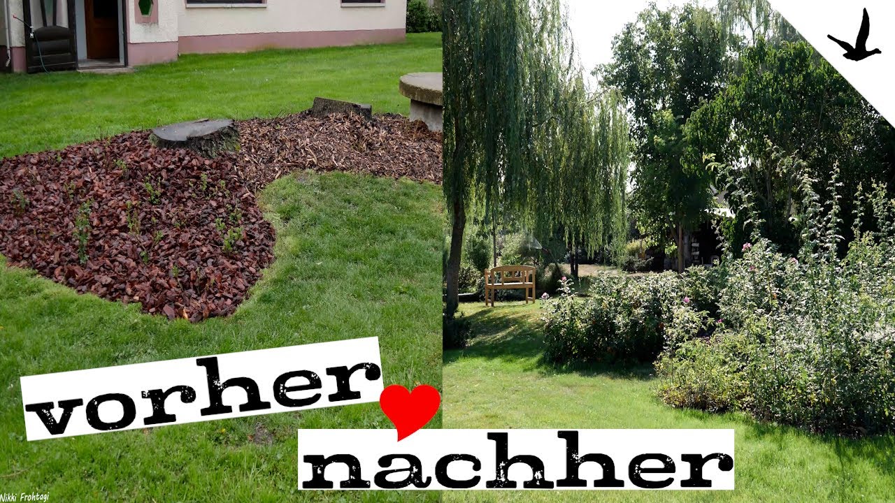 Wildrosen // Rosen pflanzen - Schritt für Schritt erklärt ✅5 super schöne Sorten sind dabei.