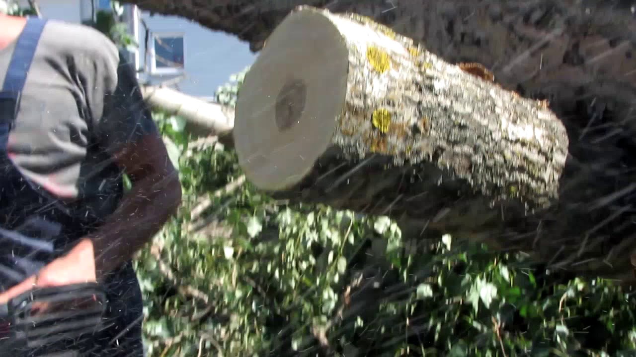 Бензопила (chainsaw working) Komatsu Zenoah G500AVS