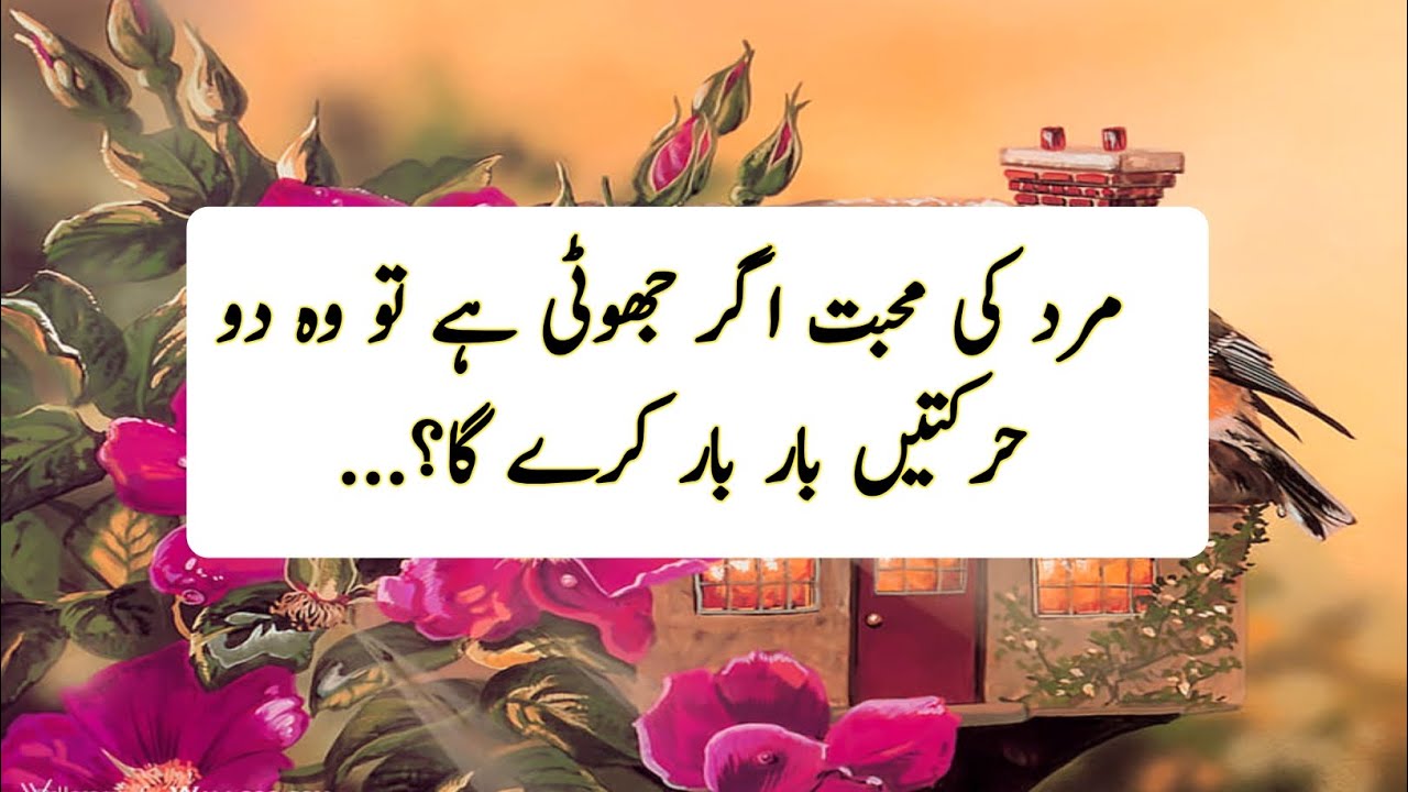 Bano Qudsia Motivational Quotes |Golden words in urdu|bano qudsia quotes | alfaaz-e Zindagi 