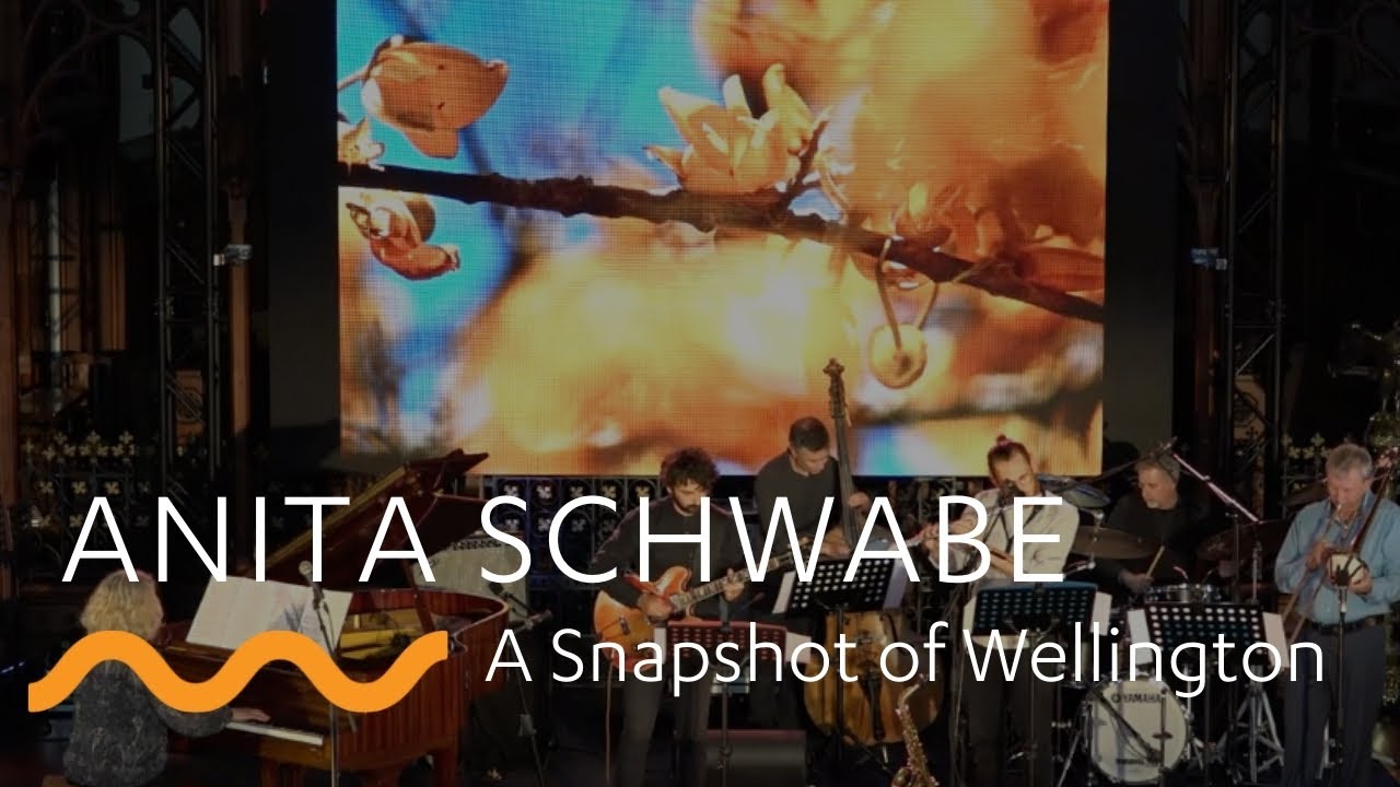 ANITA SCHWABE: A Snapshot of Wellington