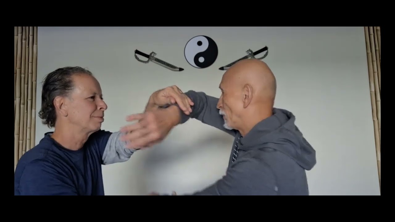 Wing Chun Kung Fu Attacking Philosophy of Chi Sau