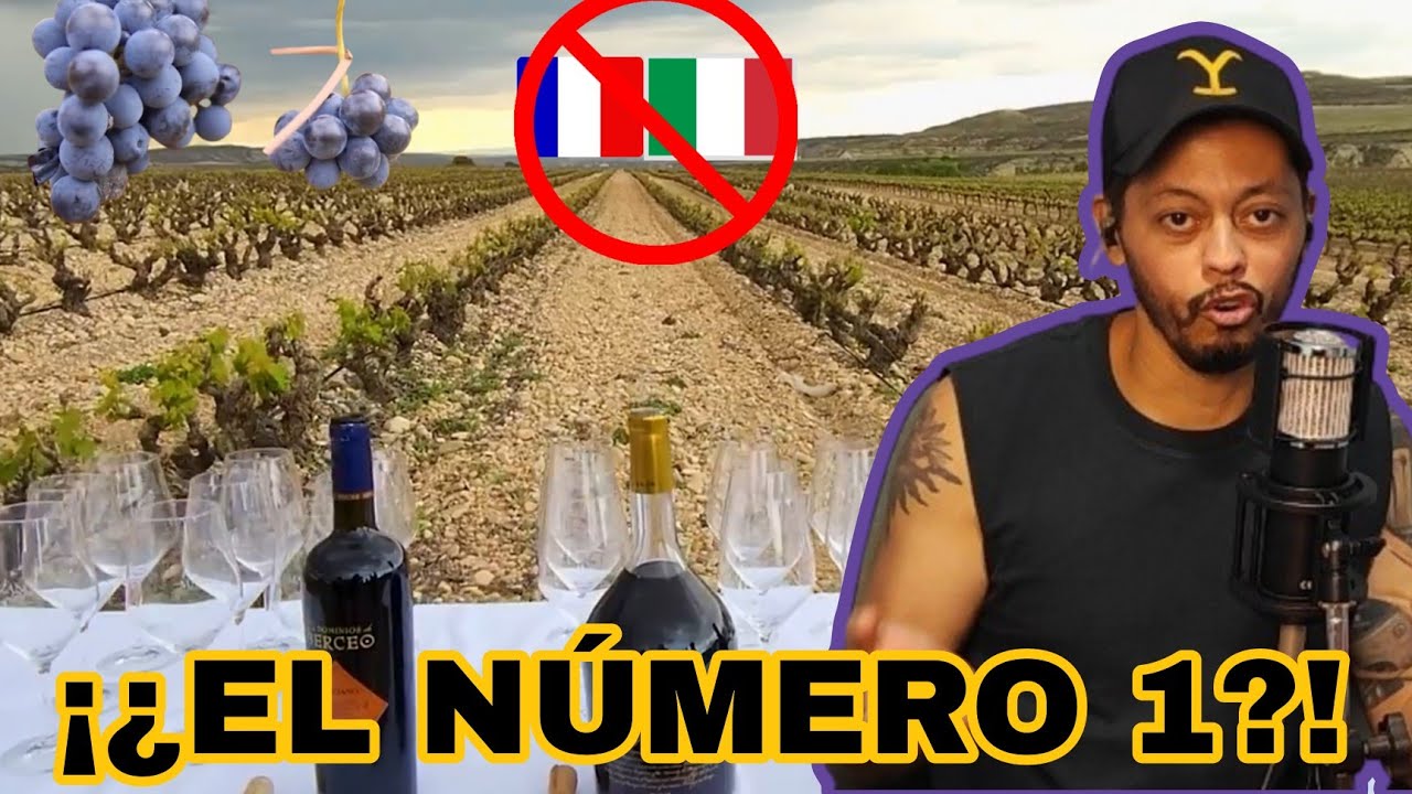 ¿Es el MEJOR de MUNDO? | VENEZOLANO Reacciona al vino de la Rioja 