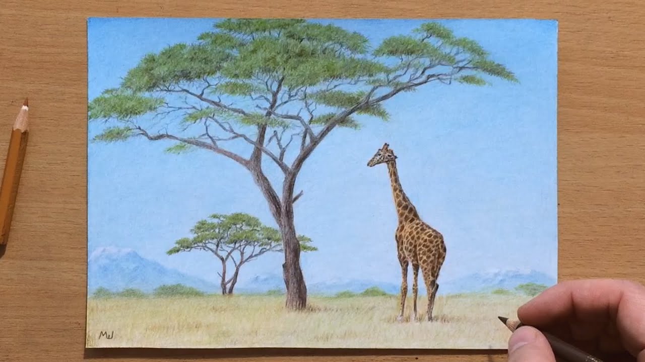 Giraffe Colored Pencil Drawing