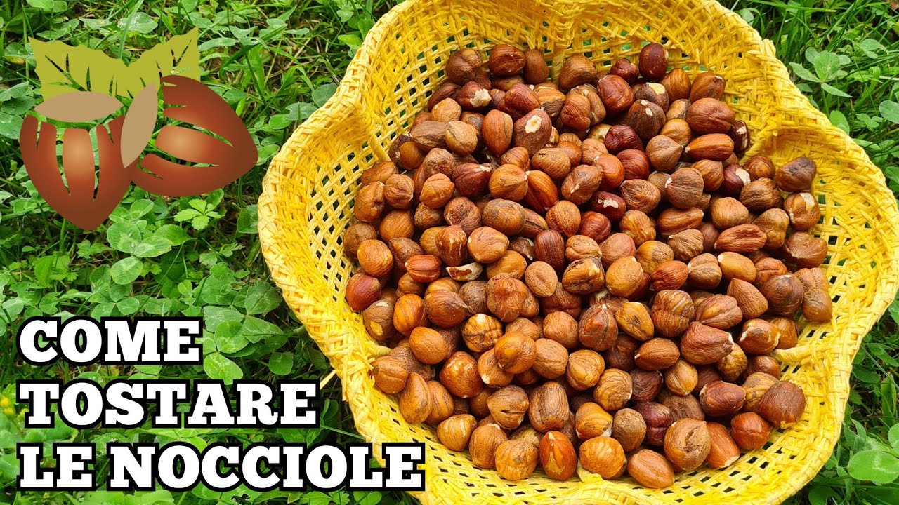 COME TOSTARE LE NOCCIOLE facilmente | TUTORIAL TOSTATURA NOCCIOLE