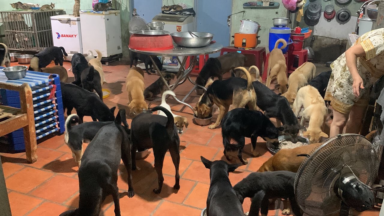Em mời cô chú anh chị vào trò chuyện cùng em cho vui nhà!