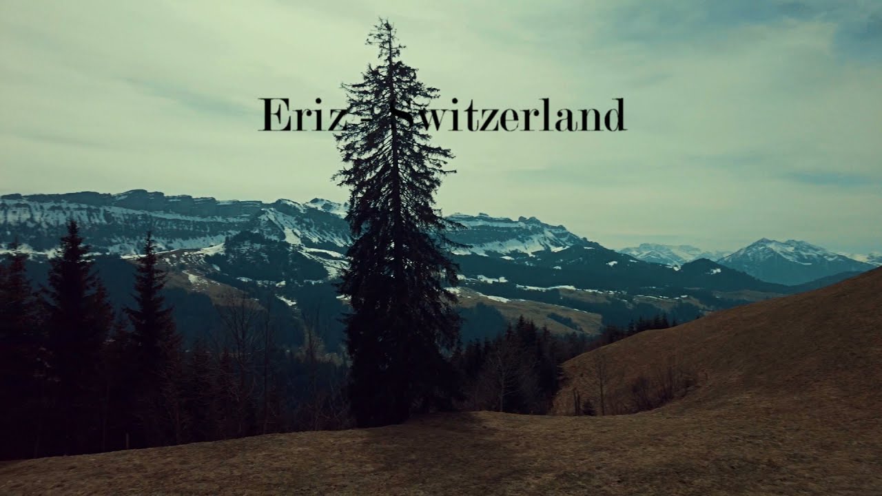 Husky adventure - Eriz, Switzerland