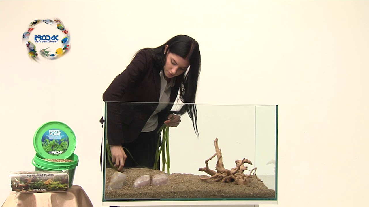 PRODAC - How to setup the aquarium ground