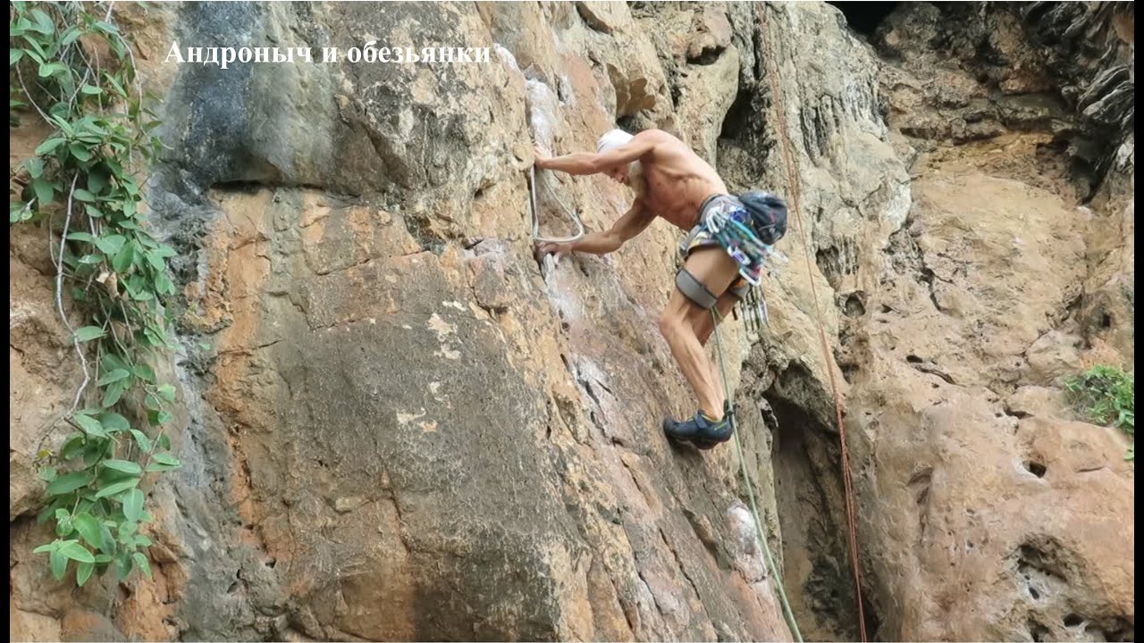 Krabi 1 4 (Андроныч, обезьянки и прочее..).