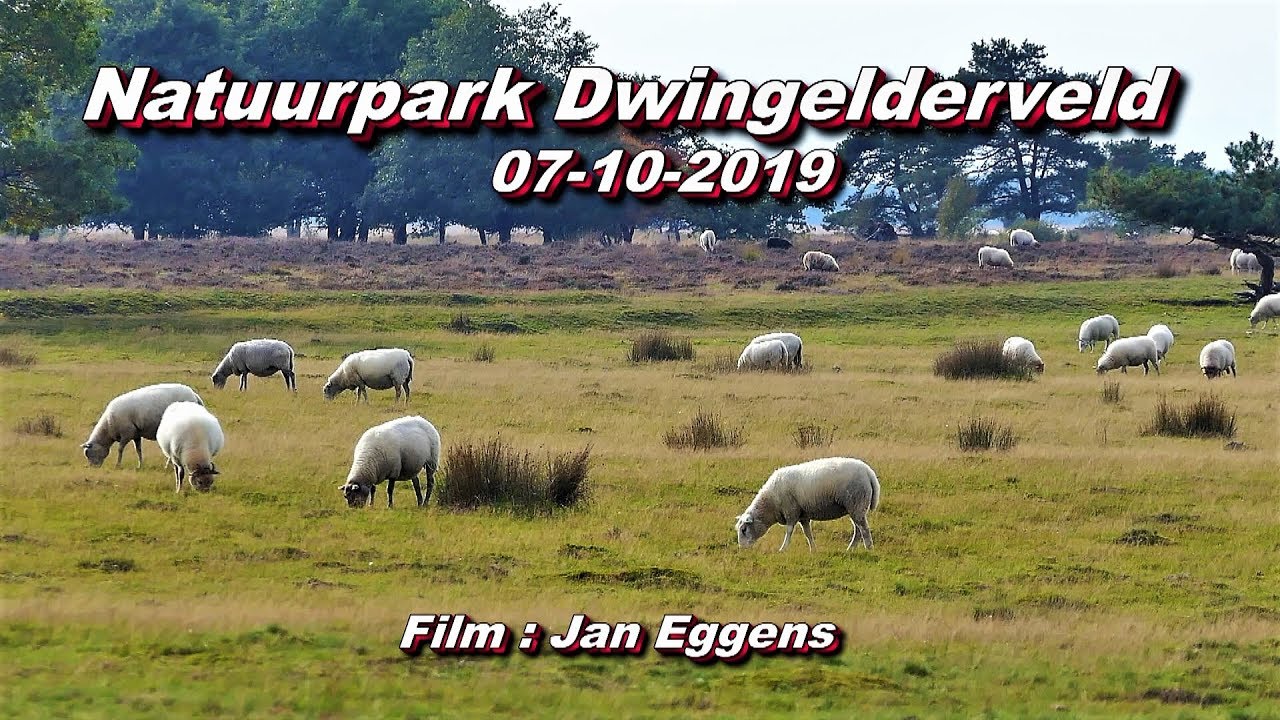 Natuurpark Dringelderveld 07 10 2019
