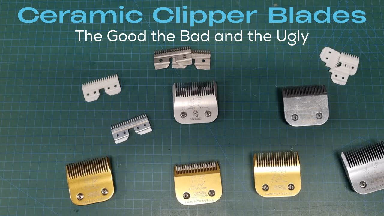 Steel vs Ceramic Clipper Blades – Which Is Better for Grooming? 🔍 Microscope Comparison