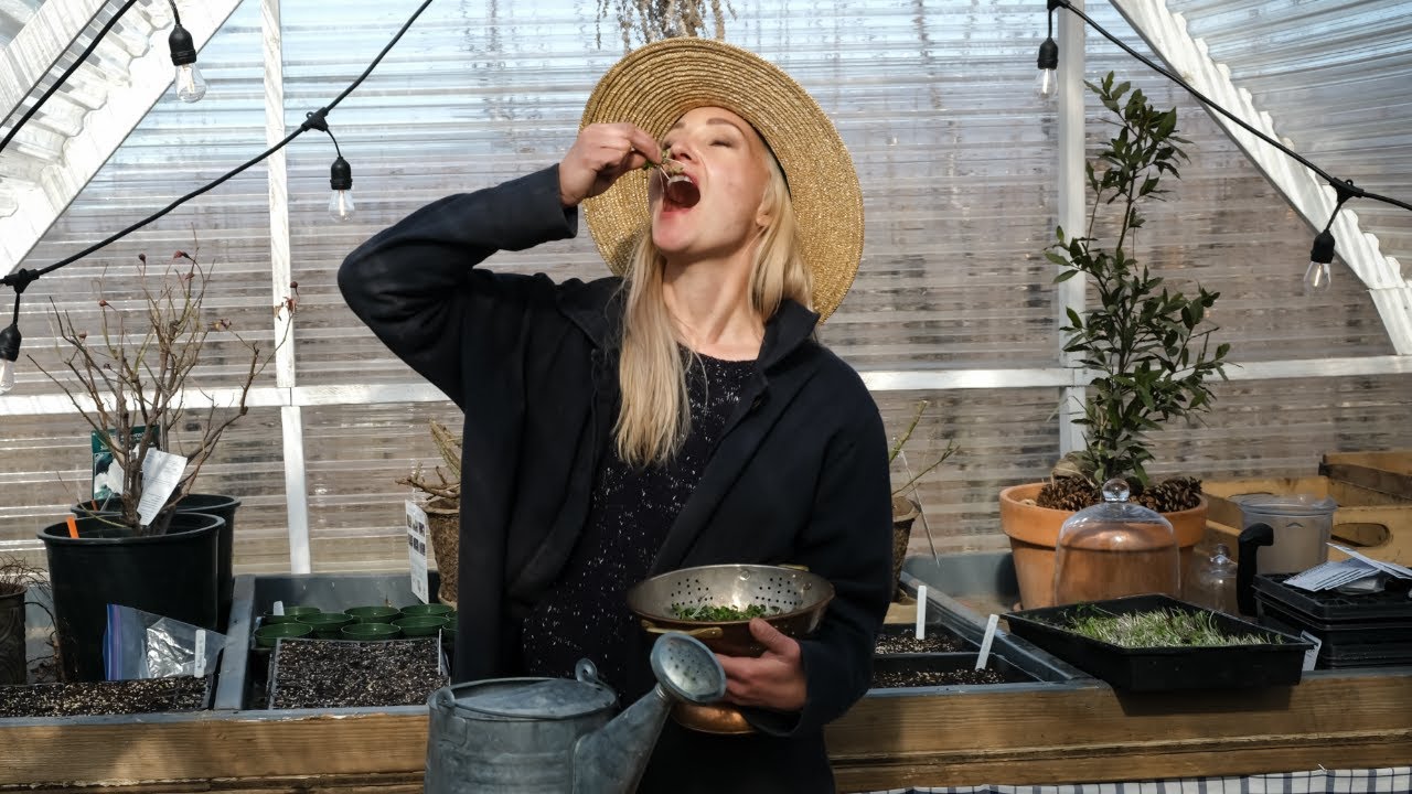 What to eat at the end of winter | Fresh greens | DIY