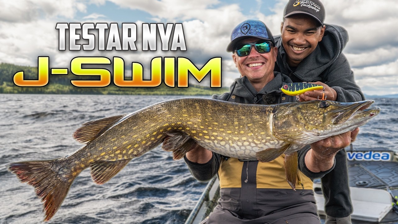 Fiskar Stor Gädda med J-Swim! - Testar Vårt Nya Swimbait