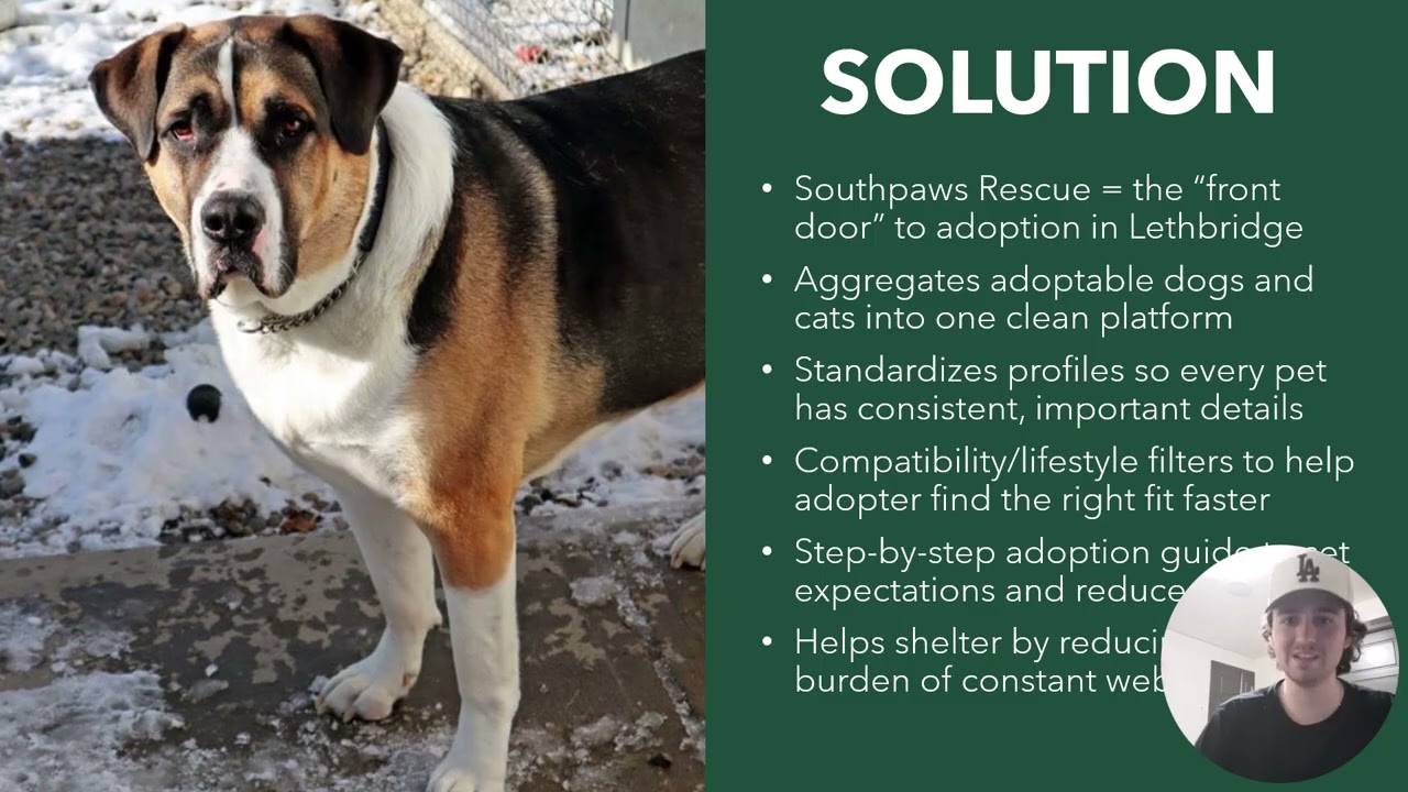 Southpaws Rescue - Video Submission