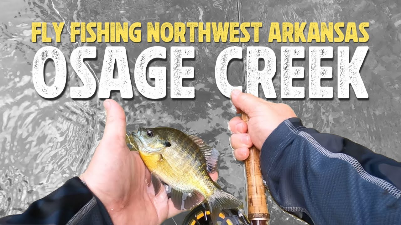 Summer Time Fly Fishing | Osage Creek | Northwest Arkansas