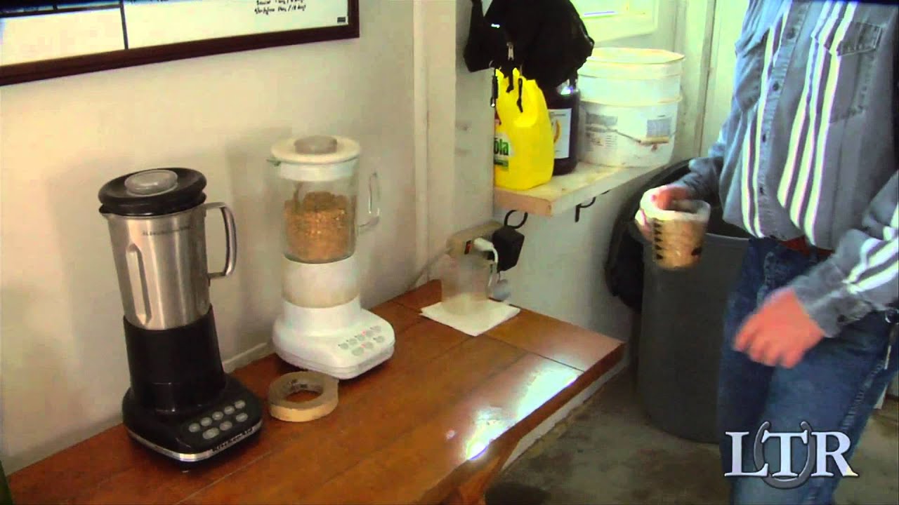 LTR Training Tip #6: Feeding Time - Oat Mixture (Archive)