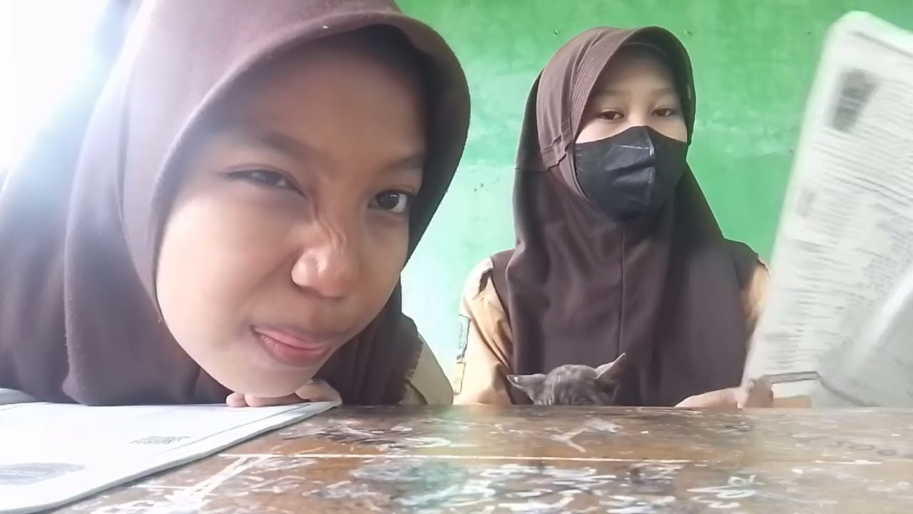 Belajar dengan santai di Kelas, Bonus Kucing Gemoy yang Ikut Mantau 😼📚