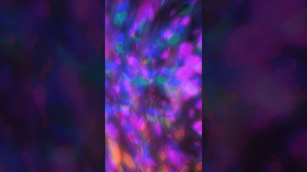 Psychedelic LED light effect  #psy #psychedelic #psychedelicartwork  #psyfamily #acid