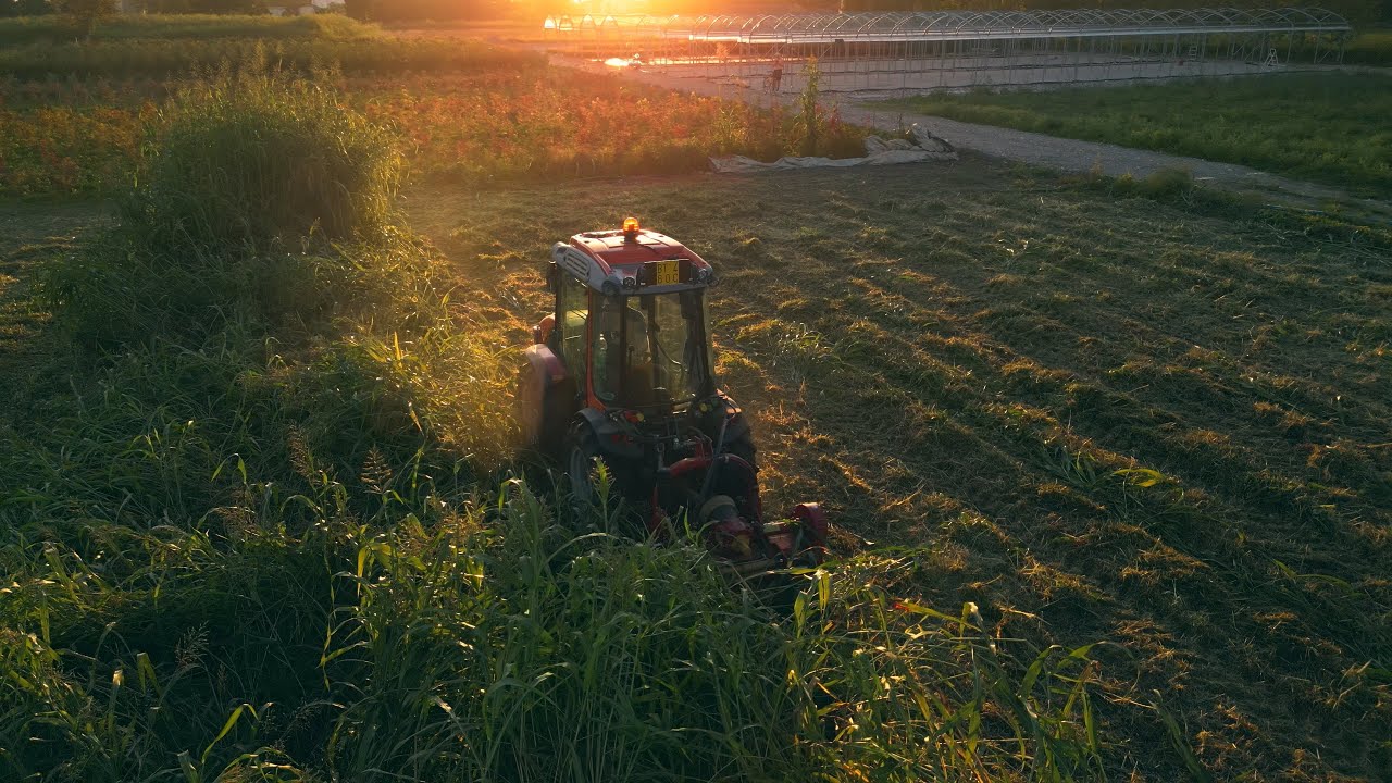 Trinciatura sovescio con Antonio Carraro SRX 10900R | Vivaio San Giovanni 💐