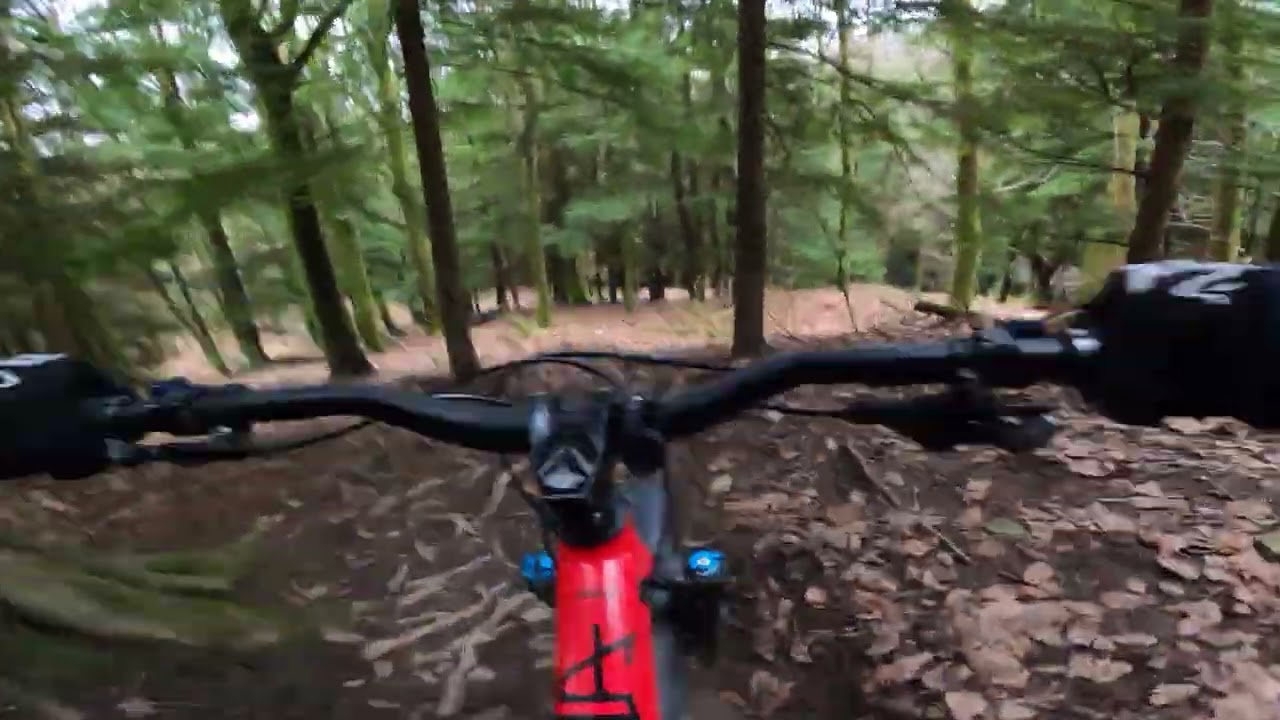 Forest of Dean - Ski Run - Raw
