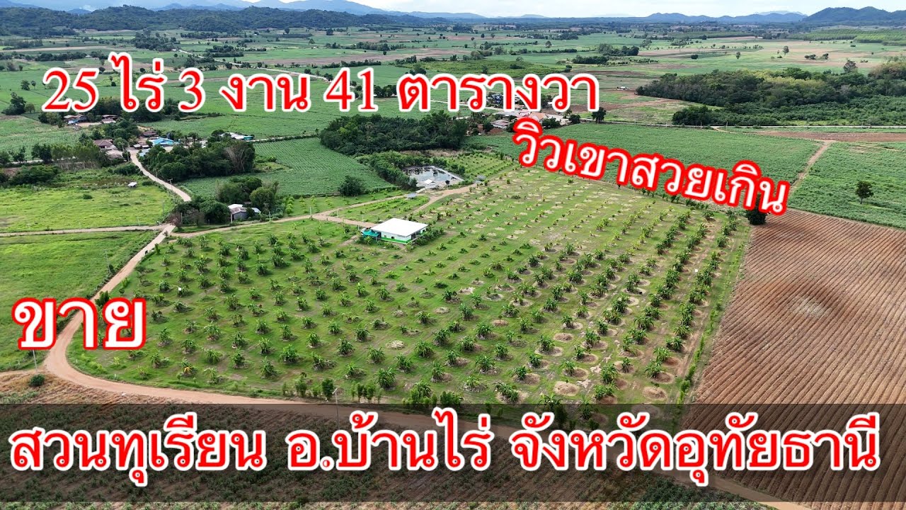 ep.1 #ขายสวนทุเรียน อ.บ้านไร่ ราคาถูก   25 ไร่ 3 งาน 41 ตารางวา #ที่ดินวิวเขา