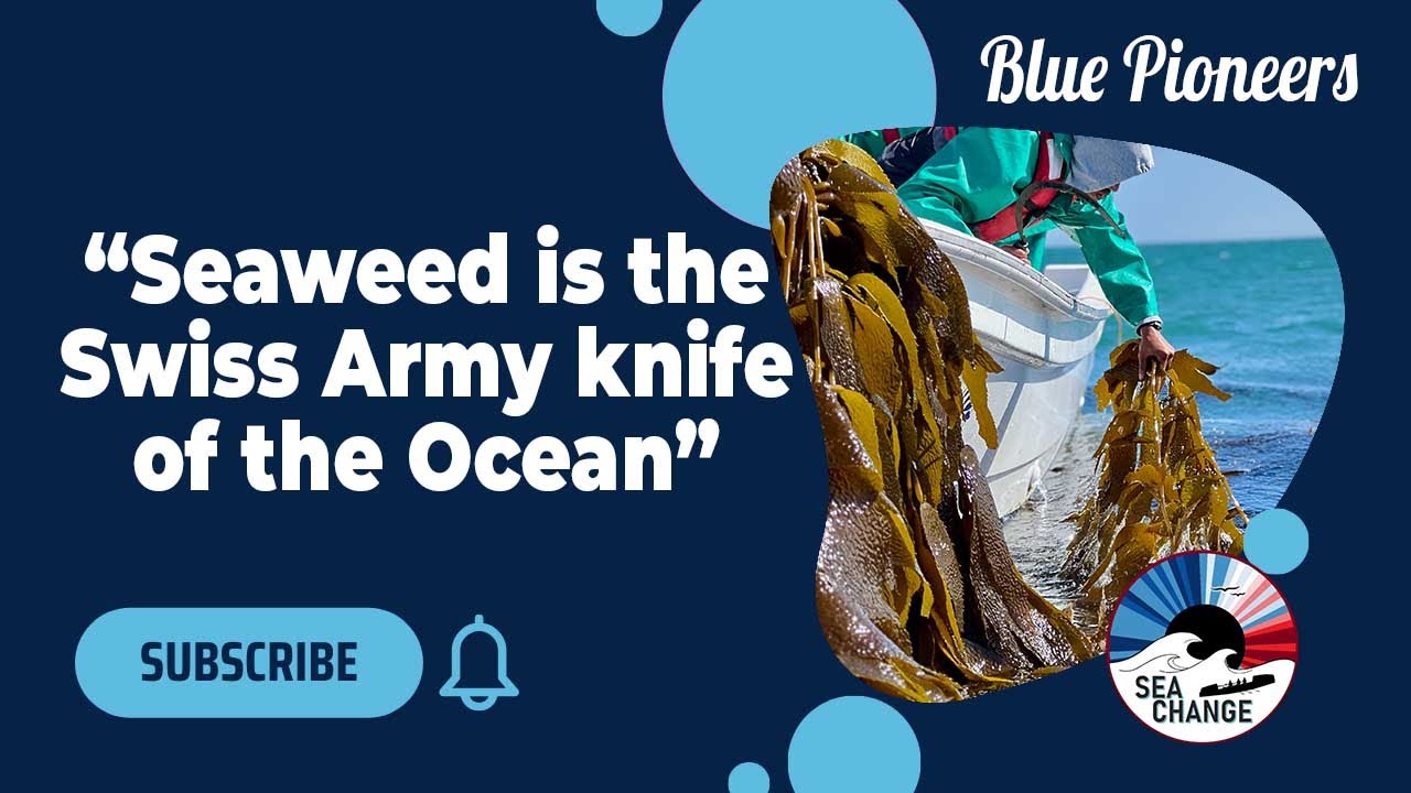 The Untapped Potential of Seaweed | Blue Pioneers Premiere with Samantha Deane