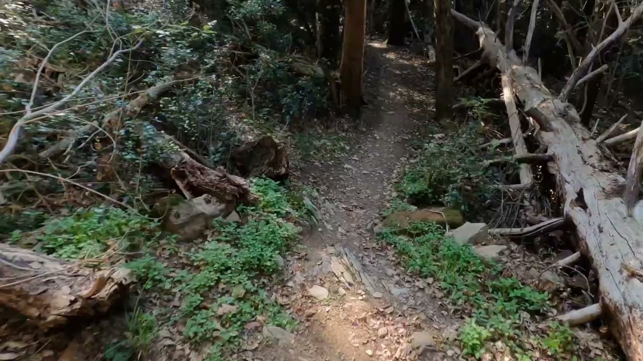 Trail Roller Coaster   Monte Morello - e-bike - GoPro HD