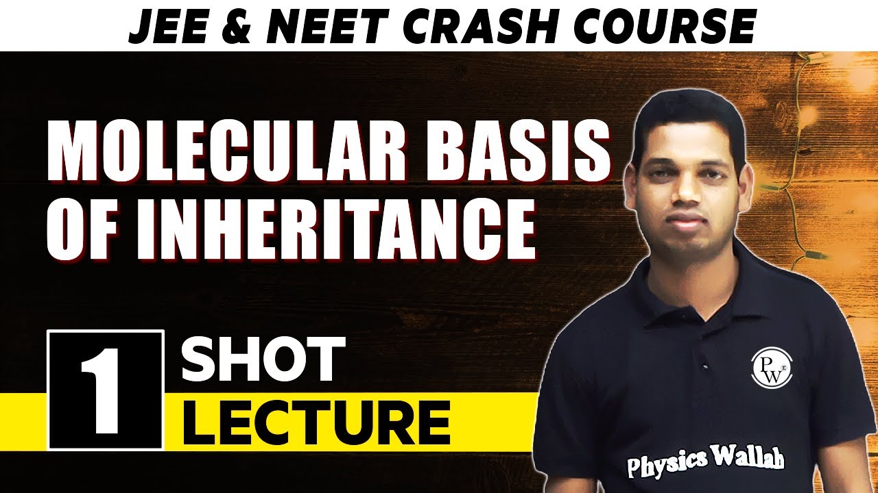 Molecular Basis Of Inheritance - One Shot Lecture | CHAMPION - NEET CRASH COURSE 2022