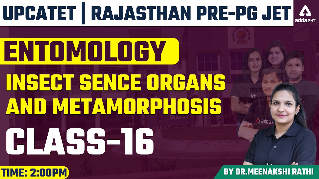 UPCATET | Rajasthan Pre-PG JET  | Entomology | Insect Sense Organs and Metamorphosis | Class 16
