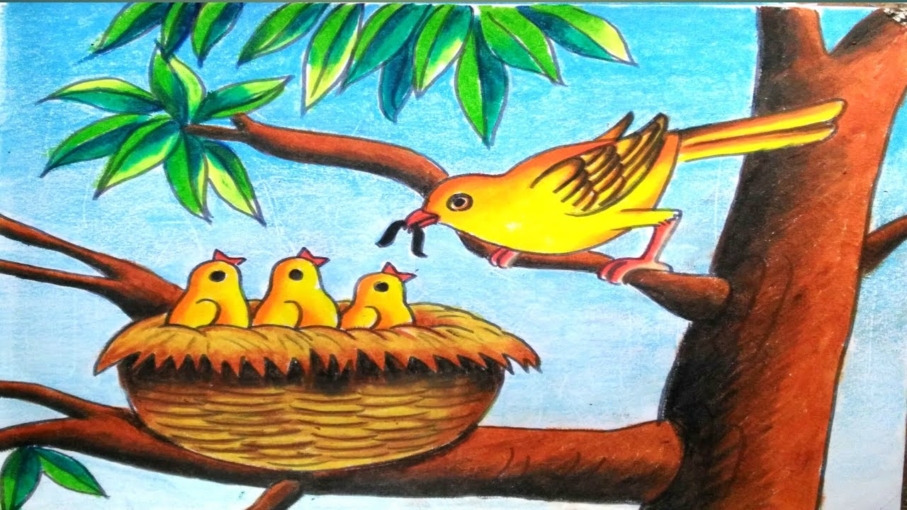 How to draw a nest with birds | step by step drawing