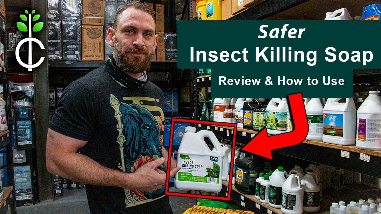 Safer Insect Killing Soap Review and How to Apply #garden #gardening