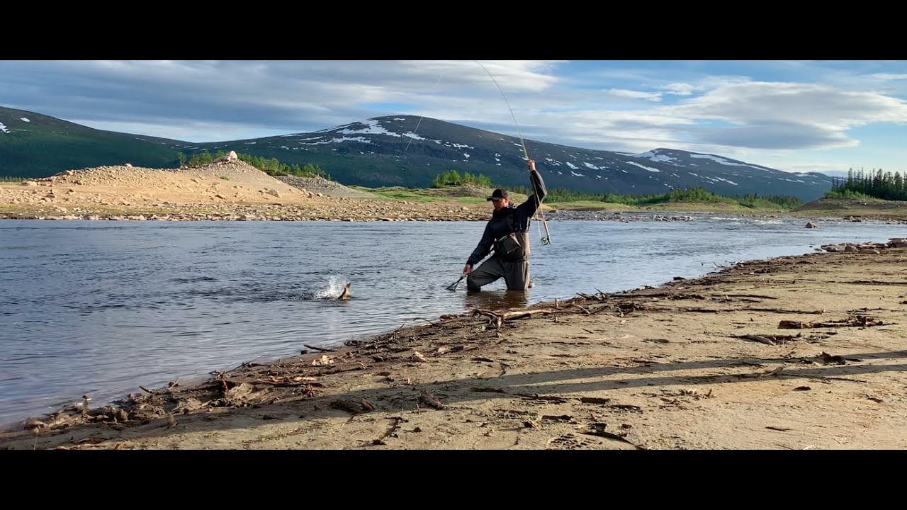 Magiskt flugfiske i fjällen efter röding (artic char) och öring (trout)