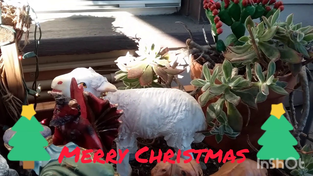 Merry Christmas