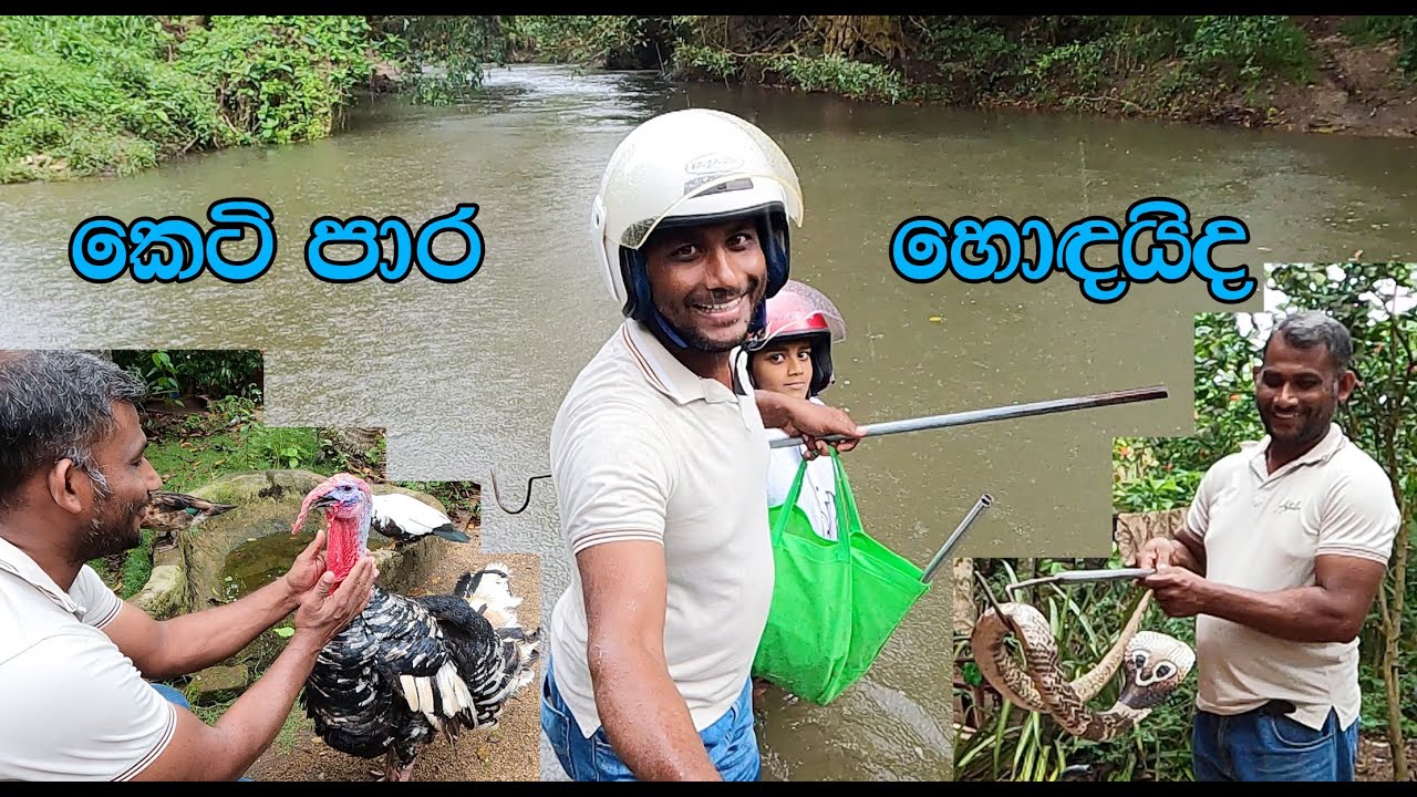 A difficult journey for many lives
