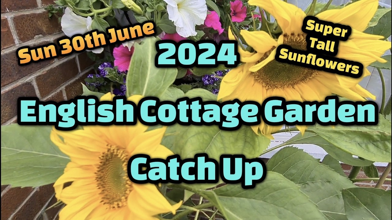 2024 english cottage garden catch up Sun 30th June