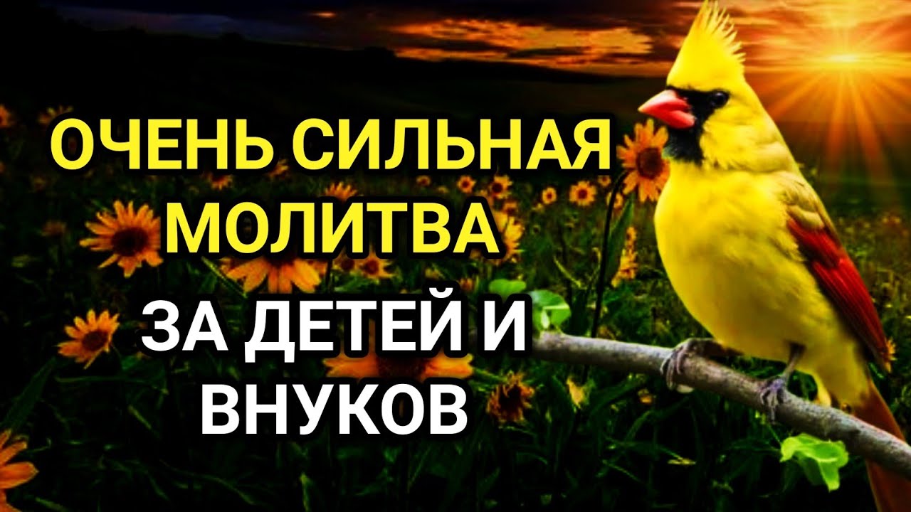 💥🔑 МОЩНАЯ МОЛИТВА ЗА ДЕТЕЙ И ВНУКОВ СОХРАНИ ЭТУ МОЛИТВУ И ЧИТАЙ КАЖДЫЙ ДЕНЬ УТРОМ И ВЕЧЕРОМ 🤲✨💯