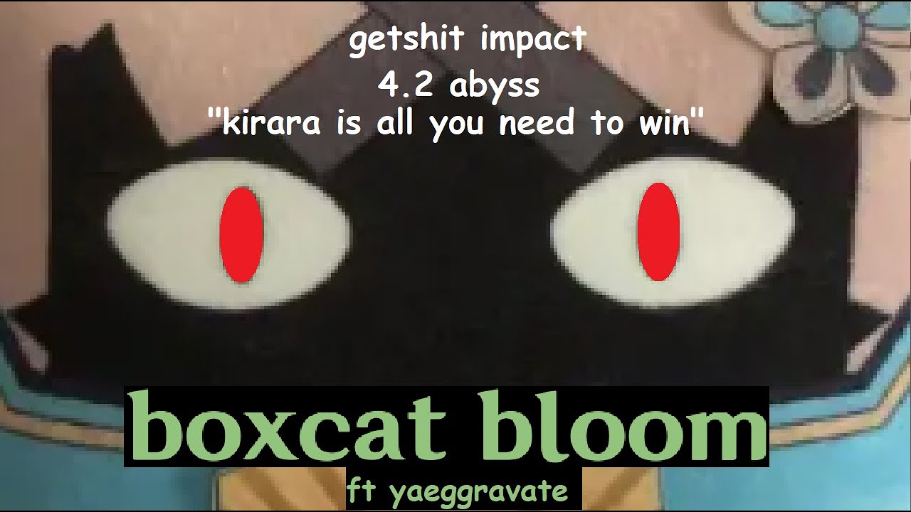 4.2 abyss boxbloom and yaeggravate (kirara and yae 36* teams)