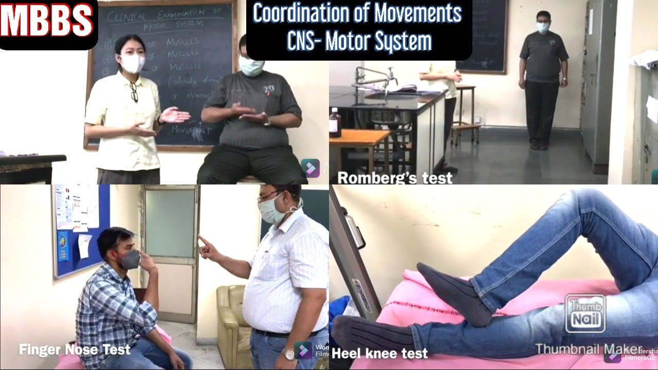 Coordination of Movement- CNS Motor system | with Dr.Karee & Dr.Imtiyaz | #mbbs #medicine #practical