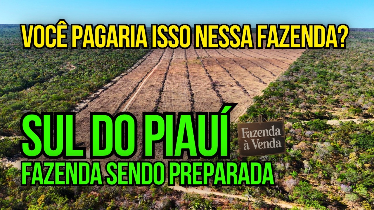 VOCÊ NÃO VAI ACREDITAR NO PREÇO DESSA FAZENDA NO PIAUÍ!