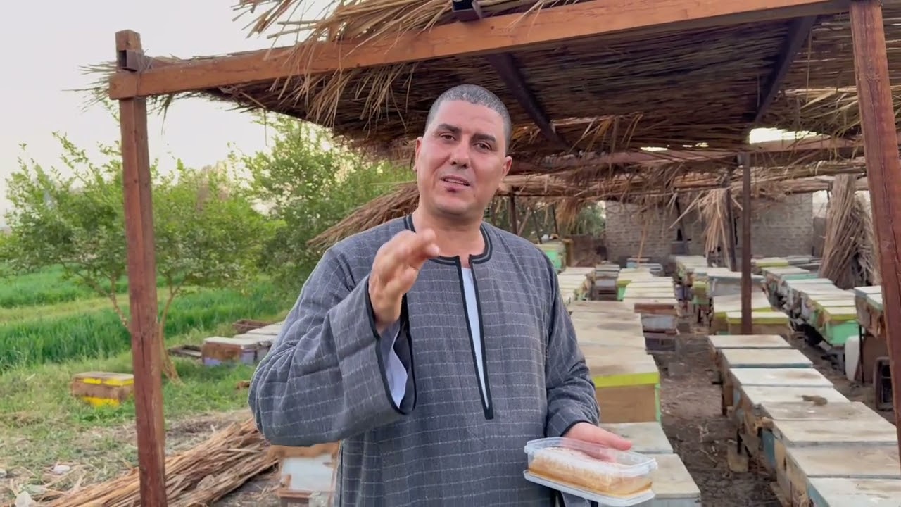 العسل اصلي ولا مغشوش كل المعلومات دي هتساعدك  #عسل 