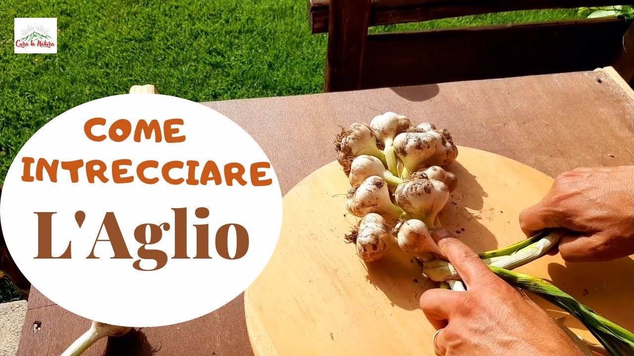 Come Intrecciare L' Aglio