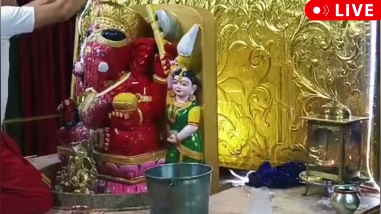 🔱 आज का दिव्य प्रातः मंगल अभिषेक 🙏जो देखेगा उसका काम बनेगा ✨गणपति बप्पा मोरया ❤️#siddhivinayak #god 
