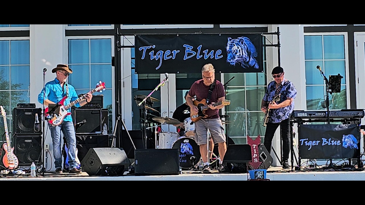 Tiger Blue performing 